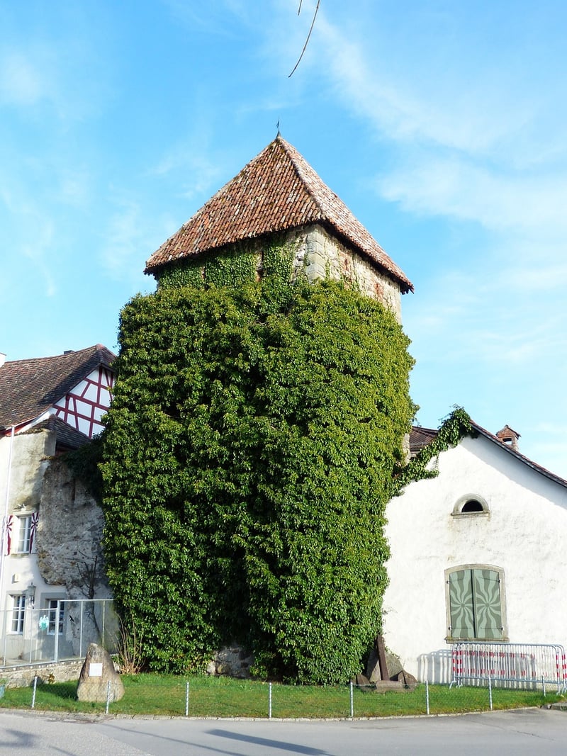 Vegetable Tower